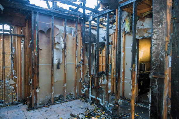 Professional Soot Cleanup technician working in Burkittsville, MD